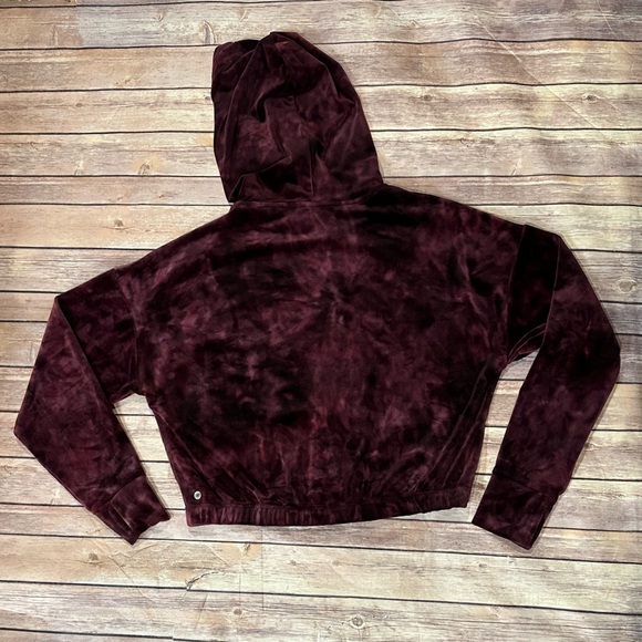 Balance & Harmony Velour Hoodie - Picture 2 of 9